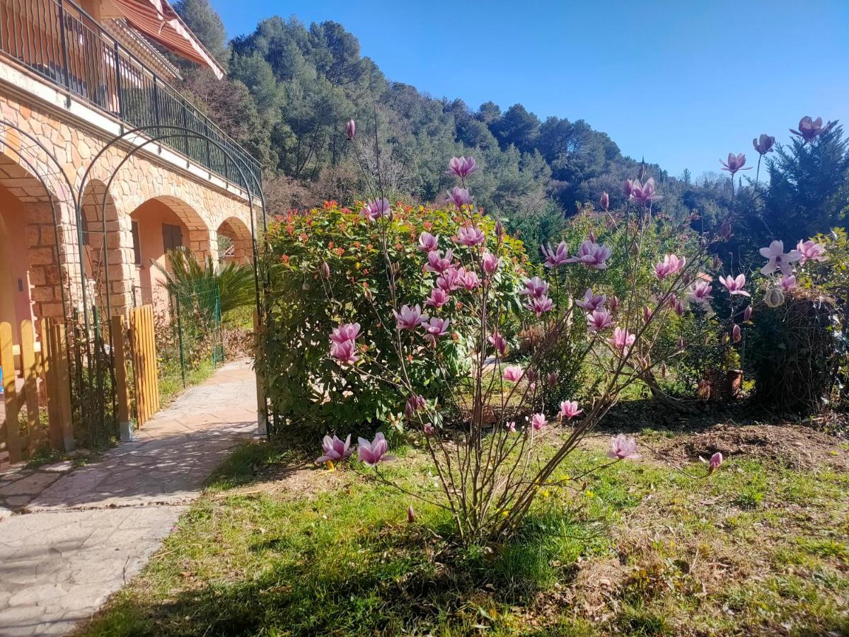 Un Brin De Paille Villa Cagnes-sur-Mer Exterior foto